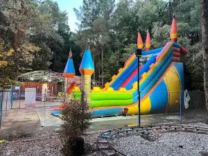 Mellat Park