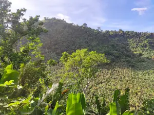 Silva Hotspring Resort