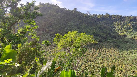 Silva Hotspring Resort