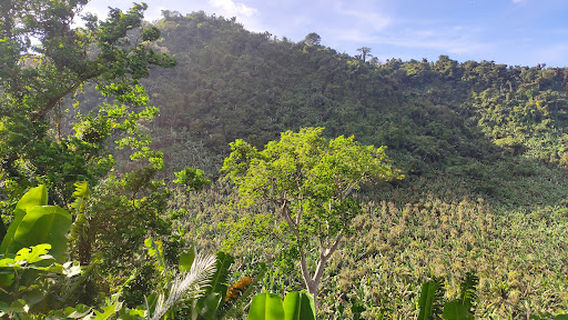 Silva Hotspring Resort