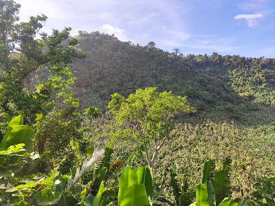 Silva Hotspring Resort
