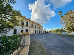 "Baron of Mauá" complex
