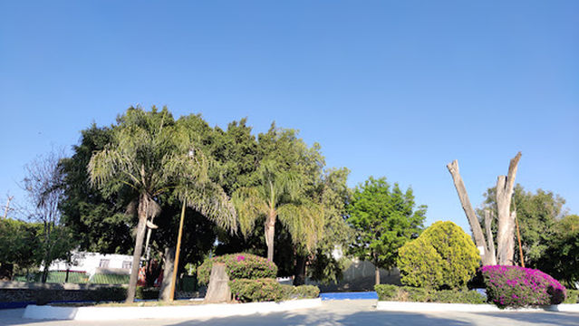 Alcanfores Norte Park