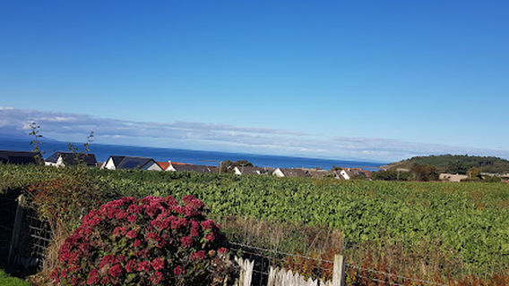 Maidens Beach Holiday Park