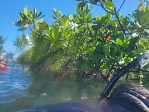 Ramrod Swimming Hole