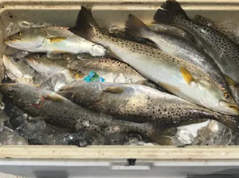 OTF Inshore Charters