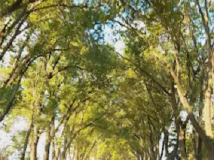 Camping Balneario la Boca