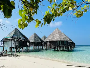 Papa Fish Excursions