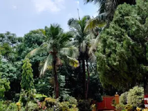 Sansarpur Field