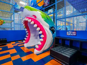 Ninja Kidz Action Park