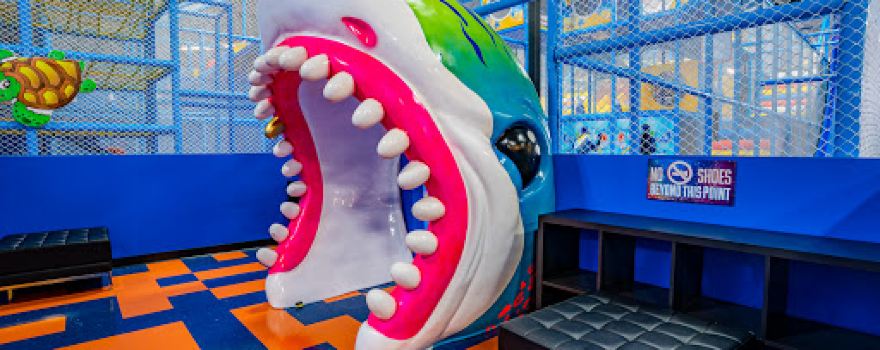 Ninja Kidz Action Park