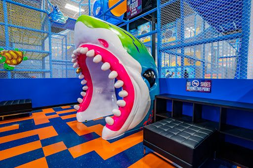 Ninja Kidz Action Park
