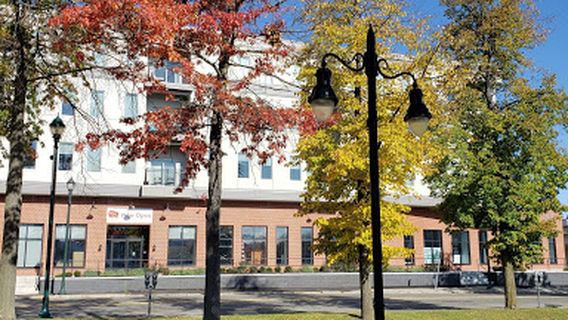 Elmira