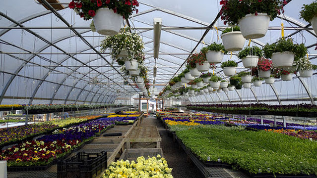 Broadway Gardens Greenhouses Inc.