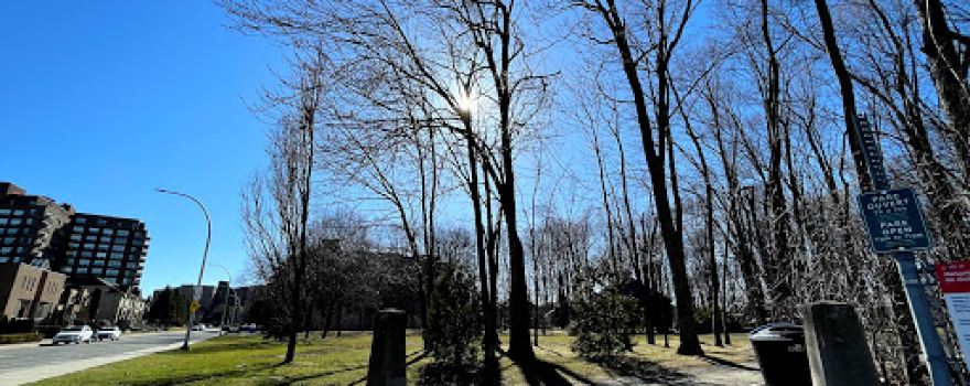 Nathan Shuster Park