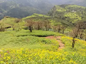 Rajmachi Fort