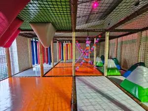 Funky Monkey Room Playroom