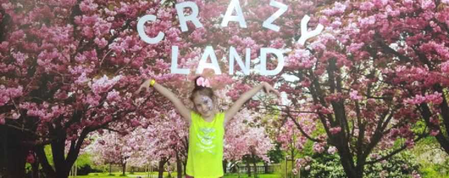 Crazy Land