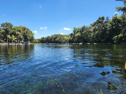 Rainbow Springs State Park Tubing