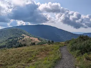 Carvers Gap Trailhead
