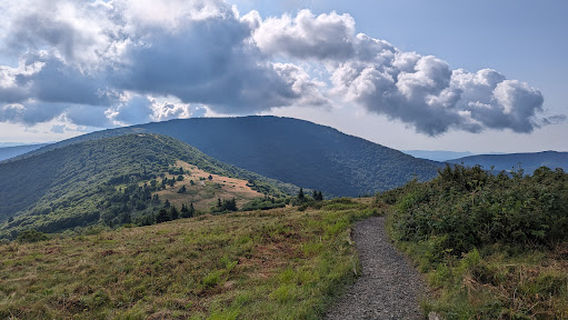 Carvers Gap Trailhead