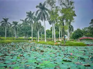 Chilka Jheel shakti