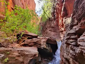 Spring Creek Canyon Trailhead