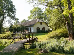 Jasmuiža, Raiņa muzejs