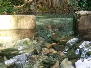 Mata Air Tubaki
