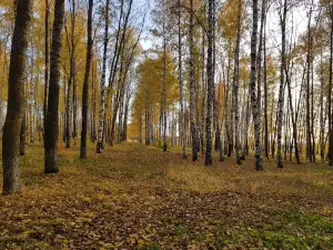 Парк Победы