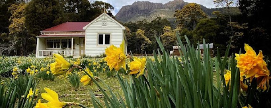 Oura Oura Private Conservation Reserve (Bush Heritage Australia)