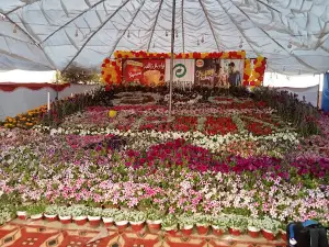 Shabbir Stadium Khanewal