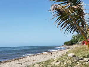 Paseo De Los Ceibeños