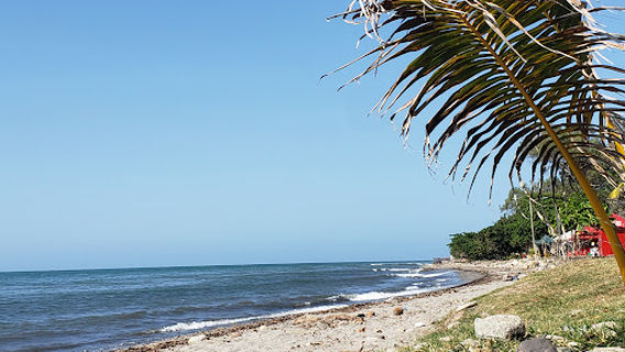 Paseo De Los Ceibeños