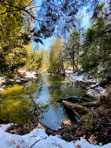 Simcoe County Admin Forest