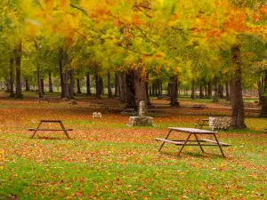 Picnic Falode