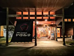 Nangoonsen Shakunage Hot Spring