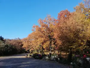 Camping Madona
