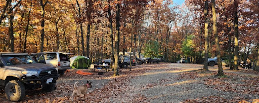 Mossy Point Campground