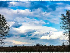 Columbia Mine Preserve