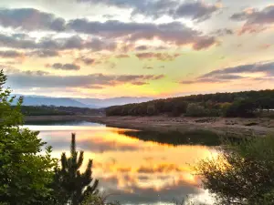 Pond Kalkım