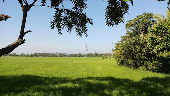 Sri Saddhasoma Piriwena