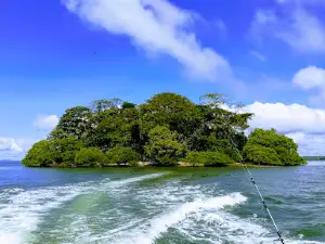 Pacific Adventure Tours