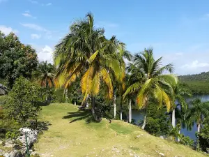 Alejandro de Humboldt National Park visitor centre