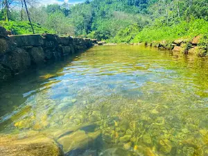 Rannagala Ella