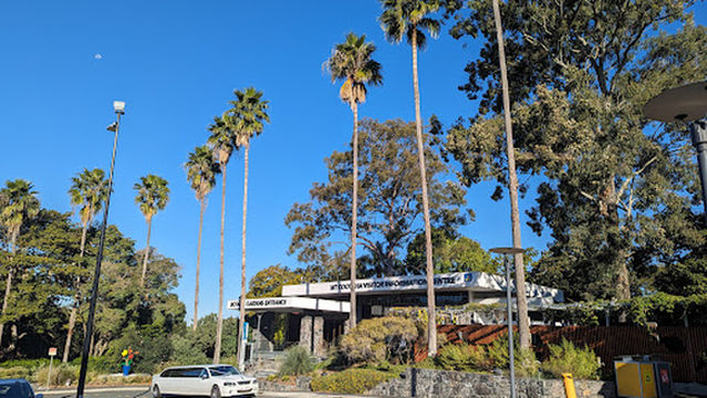 Mt Coot-tha Botanical Gardens Lookout