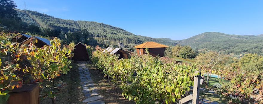 Cimo da Vinha - Nature Spot