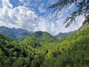Syri Kaltër