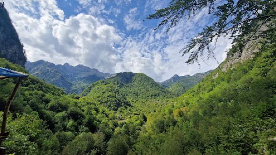 Syri Kaltër