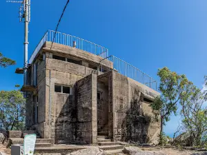 The Forts